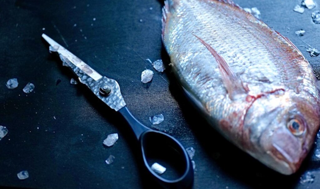 Zanmai The Dragon Scissor