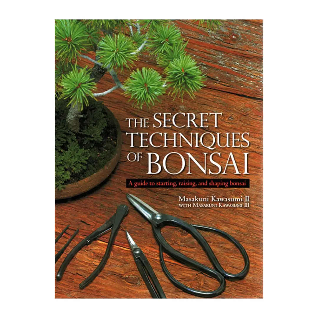 Les techniques secrètes du bonsaï